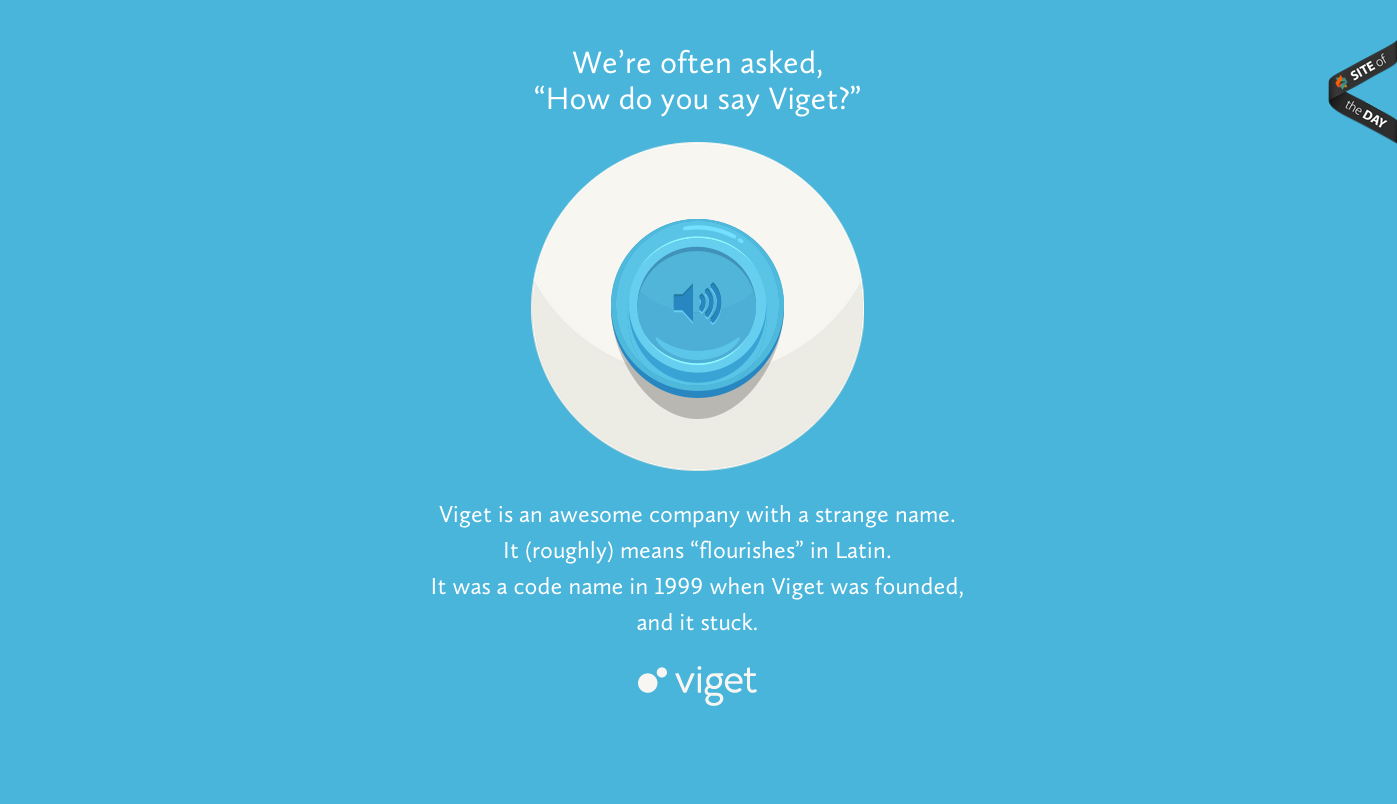 Say Viget